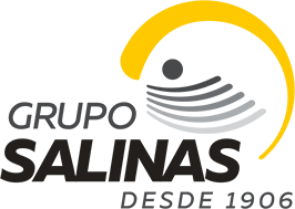 Grupo Salinas Logo